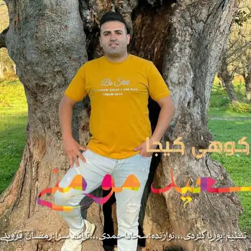کوهی کیجا